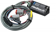 Haltech wideband 2 channel