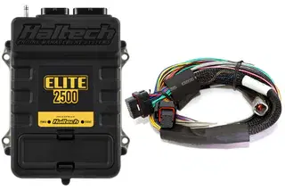 Haltech Elite 2500 + Basic Universal Wire-in Harness Kit 2.5m (8')